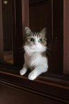 1654969402__salliedoodle__original.jpg
