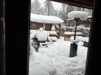IMG_0596.jpeg