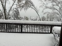 IMG_0597.jpeg